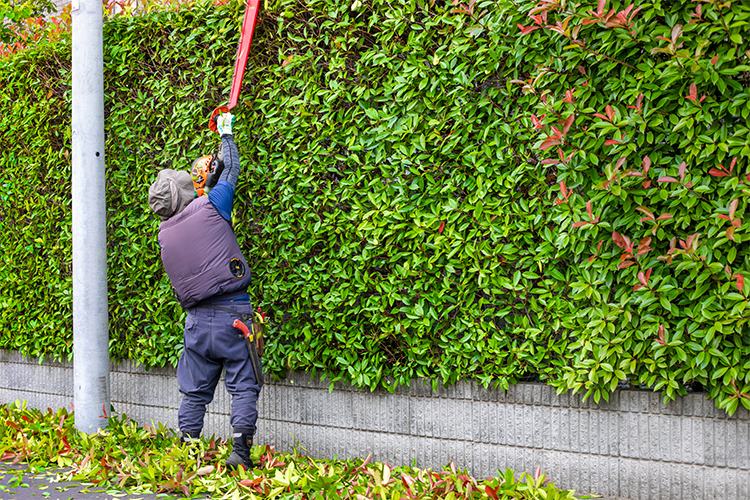 画像に alt 属性が指定されていません。ファイル名: 81e7510b4fdf0a979fa439748c1382c3.jpg